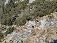 Klik za večjo sliko