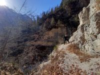 Klik za večjo sliko