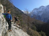 Klik za večjo sliko