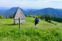 Klik za večjo sliko