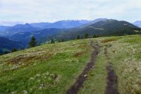 Klik za večjo sliko