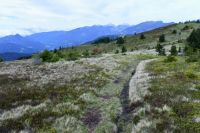 Klik za večjo sliko