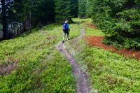 Klik za večjo sliko