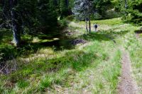 Klik za večjo sliko