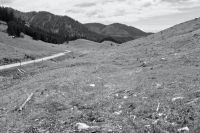 Klik za večjo sliko