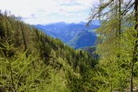 Klik za večjo sliko