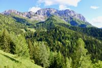 Klik za večjo sliko