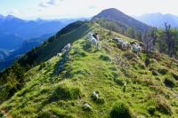 Klik za večjo sliko