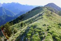 Klik za večjo sliko