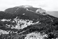 Klik za večjo sliko