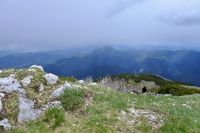 Klik za večjo sliko