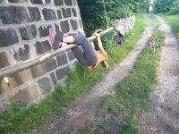 Klik za večjo sliko