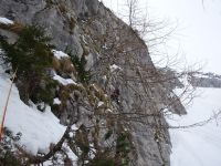 Klik za večjo sliko