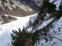 Klik za večjo sliko