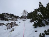 Klik za večjo sliko