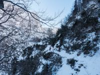 Klik za večjo sliko