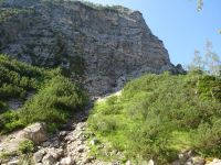 Klik za večjo sliko