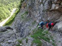 Klik za večjo sliko