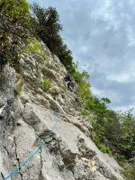 Klik za večjo sliko