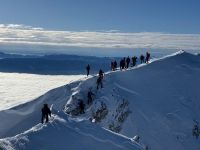 Klik za večjo sliko