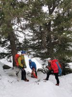 Klik za večjo sliko