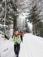 Klik za večjo sliko