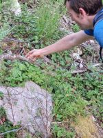 Klik za večjo sliko