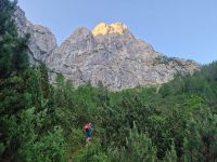 Klik za večjo sliko