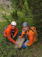 Klik za večjo sliko