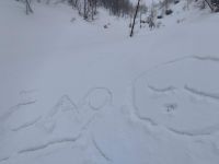 Klik za večjo sliko