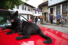 Klik za večjo sliko