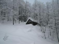 Klik za večjo sliko