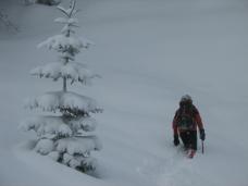 Klik za večjo sliko