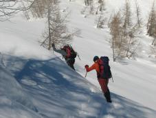 Klik za večjo sliko