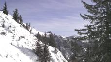 Klik za večjo sliko