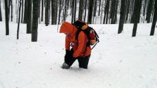 Klik za večjo sliko