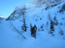 Klik za večjo sliko