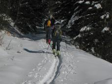 Klik za večjo sliko