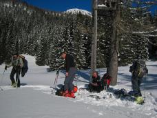 Klik za večjo sliko