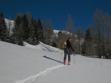 Klik za večjo sliko