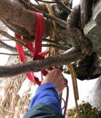 Klik za večjo sliko