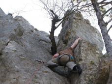 Klik za večjo sliko