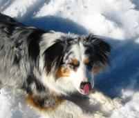 Klik za večjo sliko