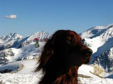 Klik za večjo sliko