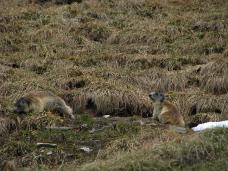 Klik za večjo sliko