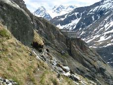 Klik za večjo sliko