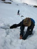 Klik za večjo sliko