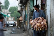 Klik za večjo sliko