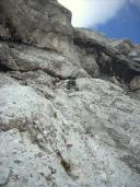 Klik za večjo sliko