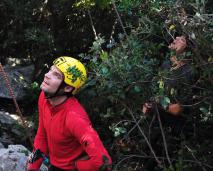 Klik za večjo sliko